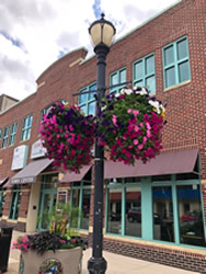 Planter & Mixed Basket Austin
